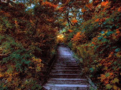 A High park, ahol találkoztai